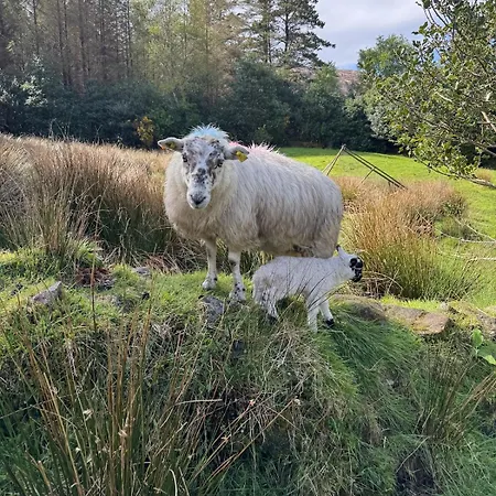 Little Heaven Vakantiehuis *