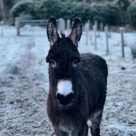 Little Heaven Vakantiehuis *