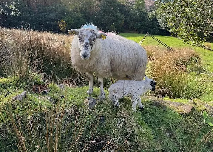 Little Heaven Tatil Evi *